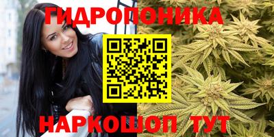 дживик Владимир