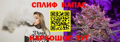 дживик Владимир