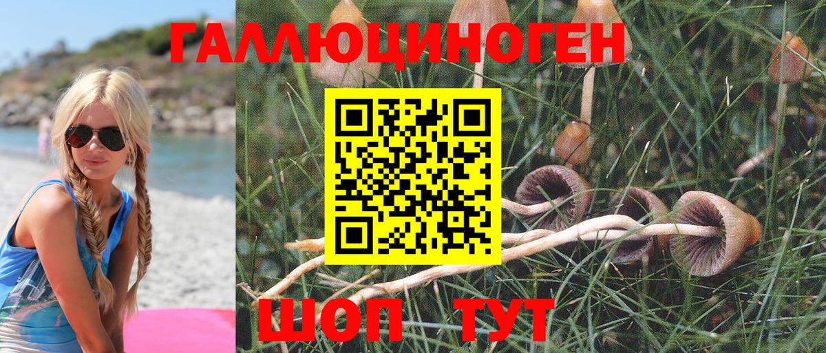 Псилоцибиновые грибы мицелий  Псилоцибиновые грибы мухоморы  Вход с VPN  Сафоново 