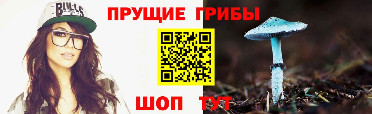 Псилоцибиновые грибы прущие грибы Сафоново